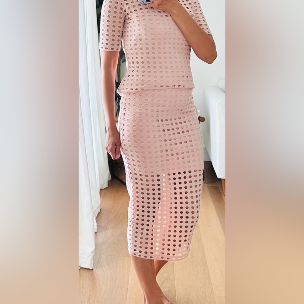 Alexander Wang 2 pc skirt set in pale pink